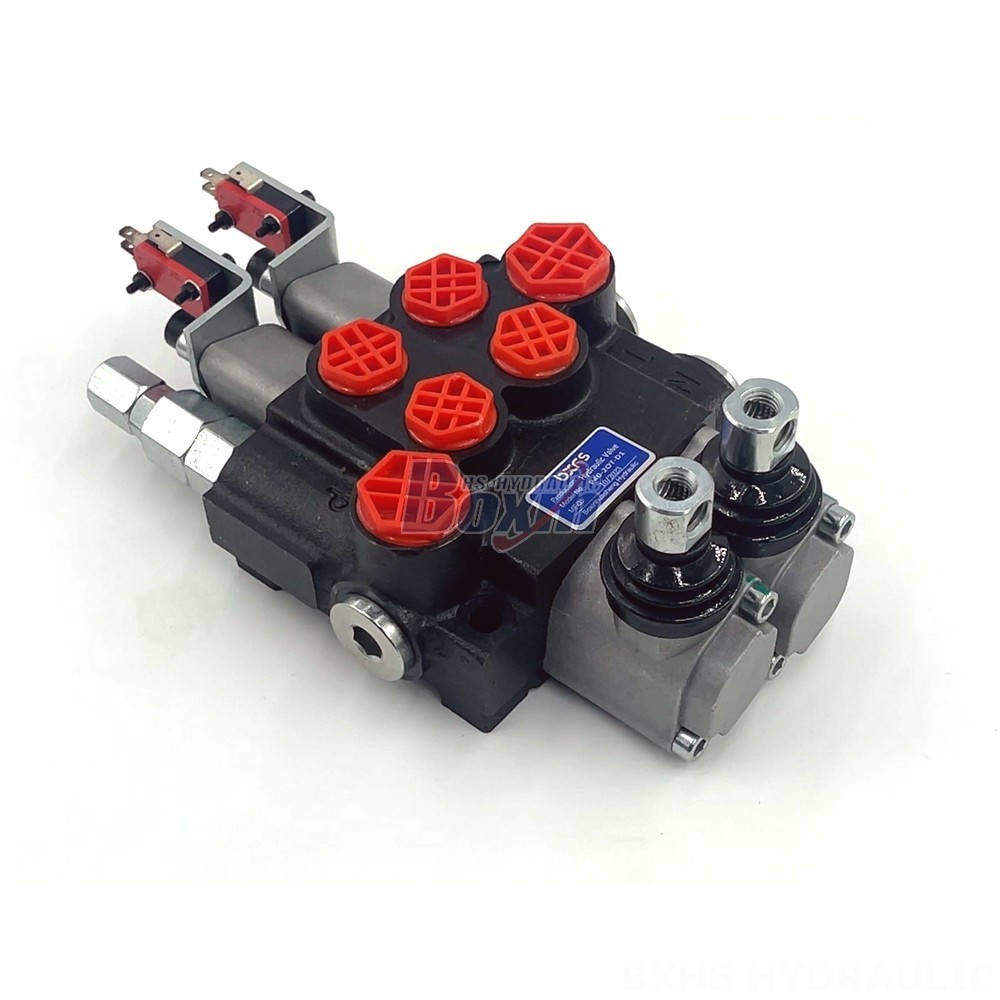 Competitive Pricing & Fast Delivery: Factory Direct Supply of P40 Micro Switch Valves detail image